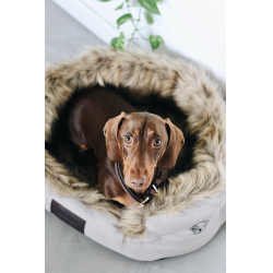 Cama para perro Cave Kentucky Marrón