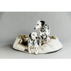 Cama para perro Cave Kentucky Marrón