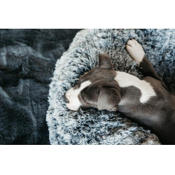 Cama para perro confort Donut Kentucky