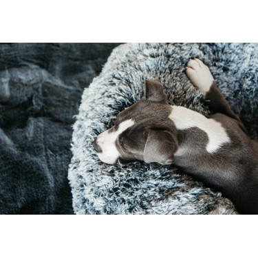 Cama para perro confort Donut Kentucky