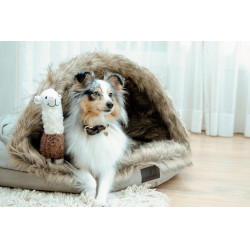 Cama para perro Igloo Kentucky