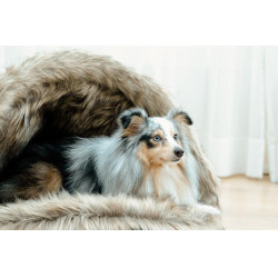Cama para perro Igloo Kentucky Marrón Marrón Cama para perro Igloo Kentucky Marrón Marrón