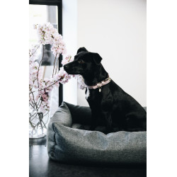 Cama para perro Soft Sleep Kentucky Cama para perro Soft Sleep Kentucky