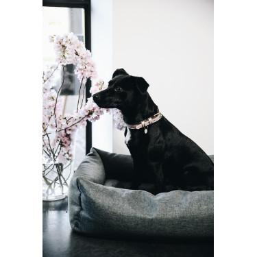 Cama para perro Soft Sleep Kentucky Cama para perro Soft Sleep Kentucky