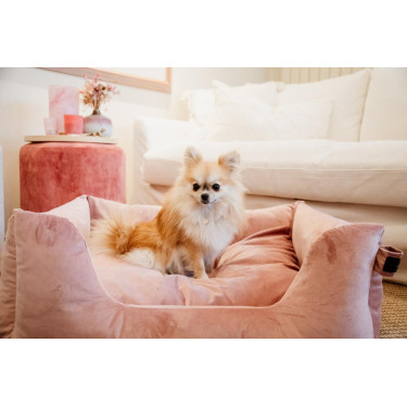 Cama para perro Velvet Kentucky Rosa viejo Cama para perro Velvet Kentucky Rosa viejo
