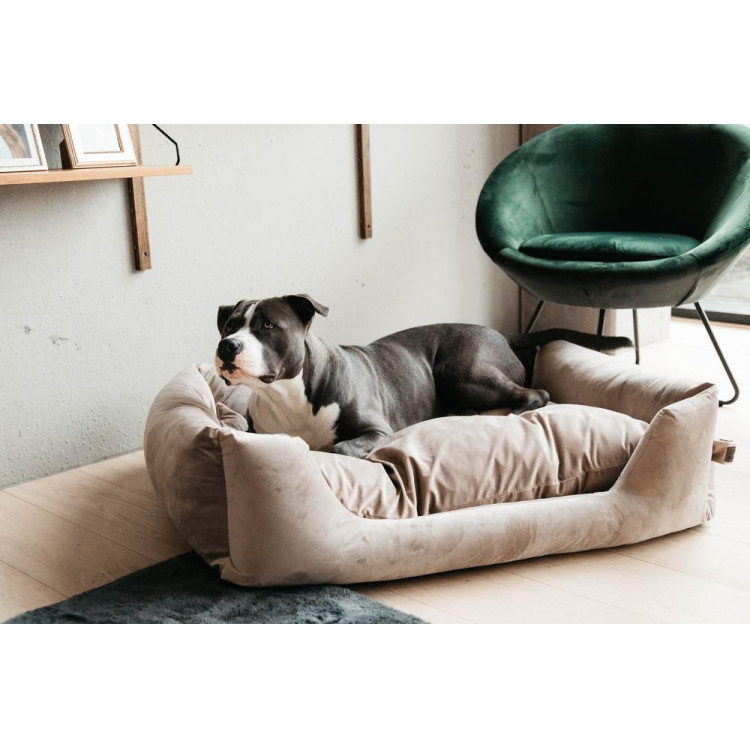 Cama para perro Velvet Kentucky