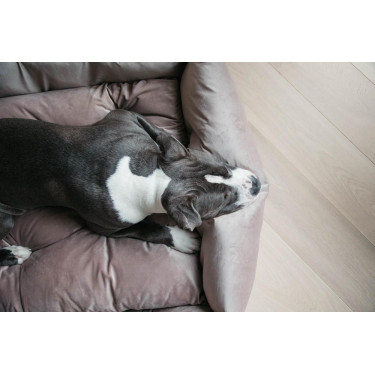 Cama para perro Velvet Kentucky Cama para perro Velvet Kentucky