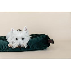 Almohada para perro Velvet Kentucky Verde abeto