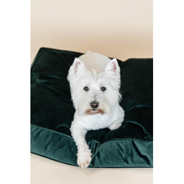 Almohada para perro Velvet Kentucky Verde abeto