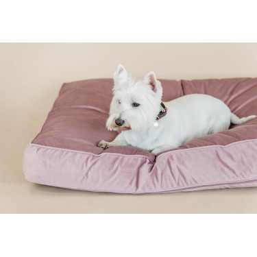 Almohada para perro Velvet Kentucky