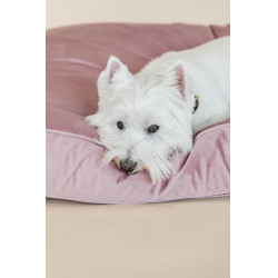 Almohada para perro Velvet Kentucky Rosa viejo Almohada para perro Velvet Kentucky Rosa viejo