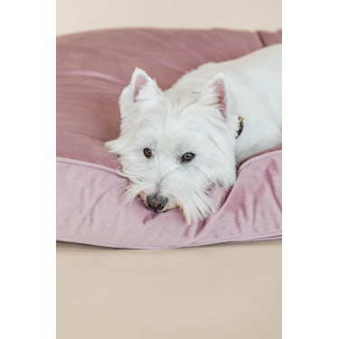 Almohada para perro Velvet Kentucky Rosa viejo Almohada para perro Velvet Kentucky Rosa viejo