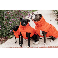 Abrigo de invierno para perro Pina Kentucky