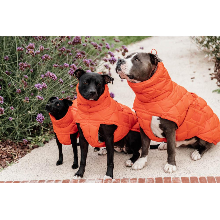 Abrigo de invierno para perro Pina Kentucky