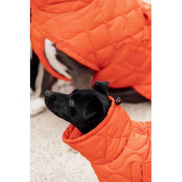 Abrigo de invierno para perro Pina Kentucky Abrigo de invierno para perro Pina Kentucky
