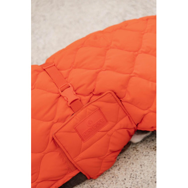 Abrigo de invierno para perro Pina Kentucky Abrigo de invierno para perro Pina Kentucky