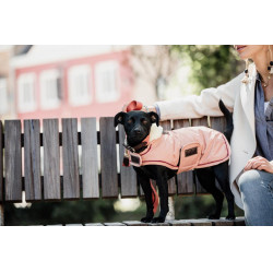 Impermeable para perro 160g Kentucky