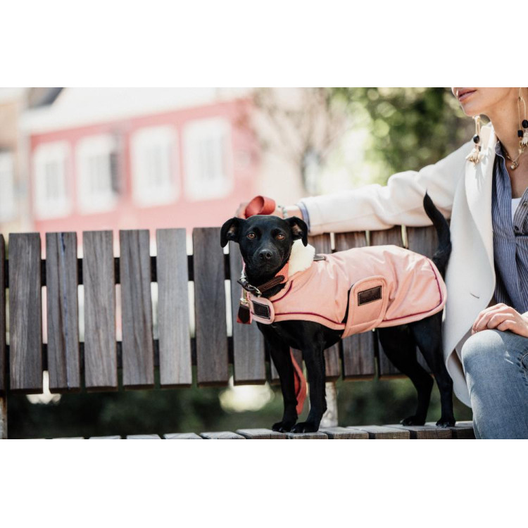 Impermeable para perro 160g Kentucky