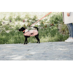 Impermeable para perro 160g Kentucky Impermeable para perro 160g Kentucky