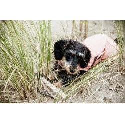 Impermeable para perro 160g Kentucky Impermeable para perro 160g Kentucky