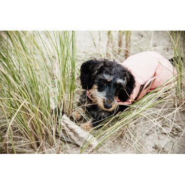 Impermeable para perro 160g Kentucky Impermeable para perro 160g Kentucky