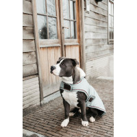 Impermeable para perro 160g Kentucky Coral Rojo