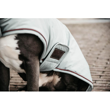 Impermeable para perro 160g Kentucky Azul empolvado