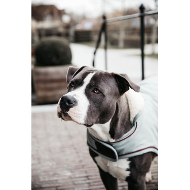 Impermeable para perro 160g Kentucky Azul empolvado