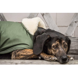 Abrigo impermeable para perro 300g Kentucky
