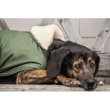 Abrigo impermeable para perro 300g Kentucky