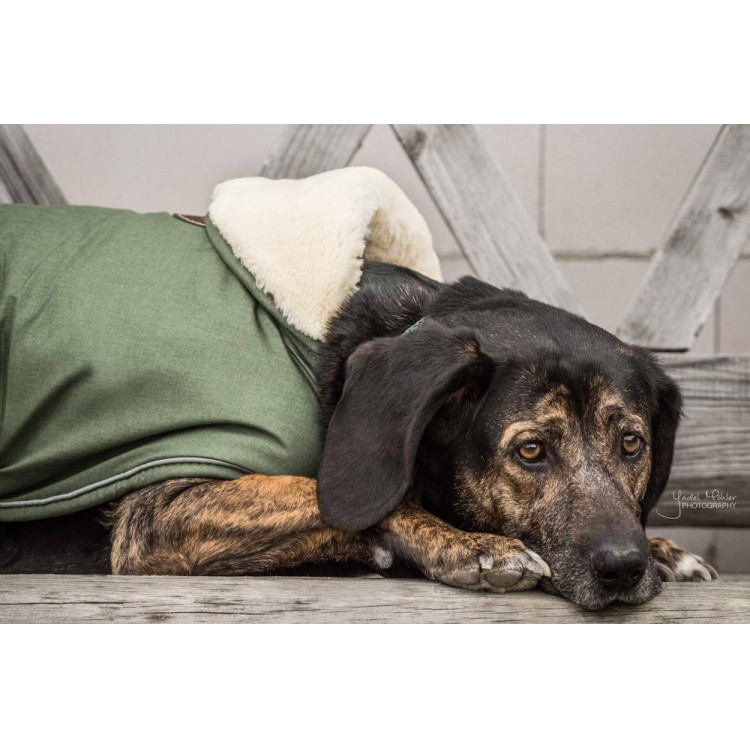 Abrigo impermeable para perro 300g Kentucky