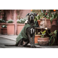 Abrigo impermeable para perro 300g Kentucky Verde oliva Abrigo impermeable para perro 300g Kentucky Verde oliva