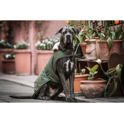 Abrigo impermeable para perro 300g Kentucky Verde oliva