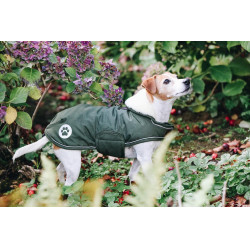 Abrigo impermeable para perro 300g Kentucky Verde oliva