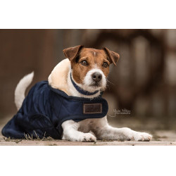 Abrigo para perro Original Kentucky
