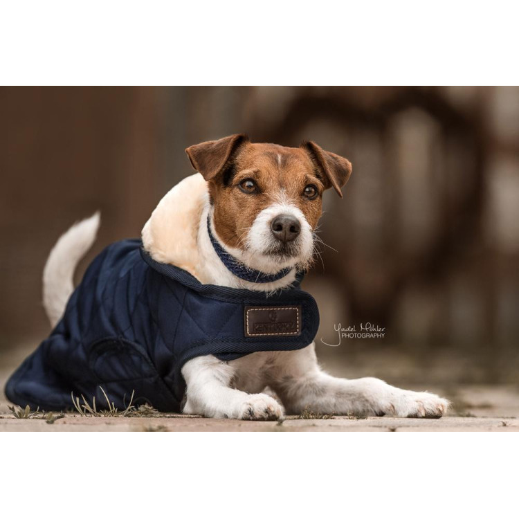 Abrigo para perro Original Kentucky