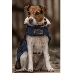 Abrigo para perro Original Kentucky Marino Azul marino Abrigo para perro Original Kentucky Marino Azul marino