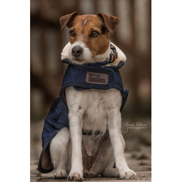 Abrigo para perro Original Kentucky Abrigo para perro Original Kentucky