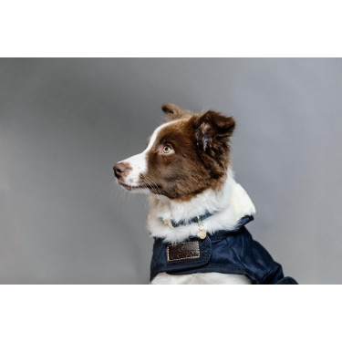 Abrigo para perro Original Kentucky Abrigo para perro Original Kentucky