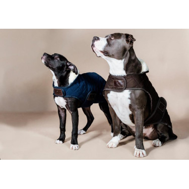 Abrigo para perro Original Kentucky Abrigo para perro Original Kentucky