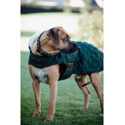 Abrigo para perro Original Kentucky