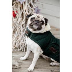 new Verde oscuro new Verde oscuro