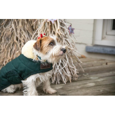 Abrigo para perro Original Kentucky Abrigo para perro Original Kentucky