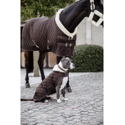 Abrigo para perro Original Kentucky Marrón Marrón Abrigo para perro Original Kentucky Marrón Marrón