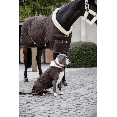 Abrigo para perro Original Kentucky Marrón Marrón Abrigo para perro Original Kentucky Marrón Marrón