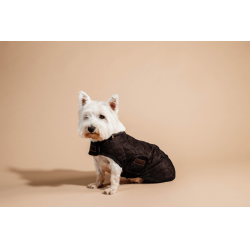 Abrigo para perro Original Kentucky Marrón Marrón Abrigo para perro Original Kentucky Marrón Marrón