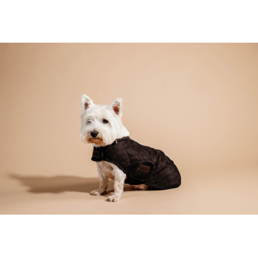 Abrigo para perro Original Kentucky Marrón Marrón Abrigo para perro Original Kentucky Marrón Marrón
