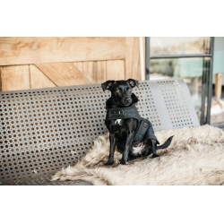 Abrigo para perro Original Kentucky Negro/negro