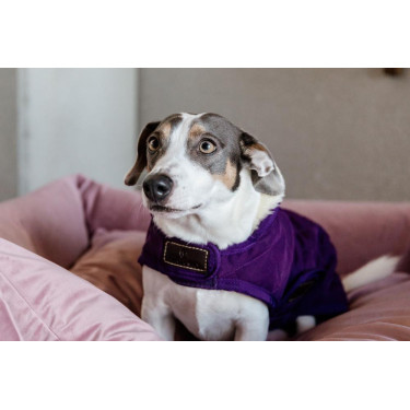 Abrigo para perro Original Kentucky Malva real Violeta