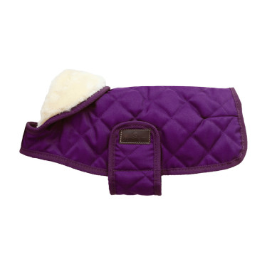 Abrigo para perro Original Kentucky Malva real Violeta
